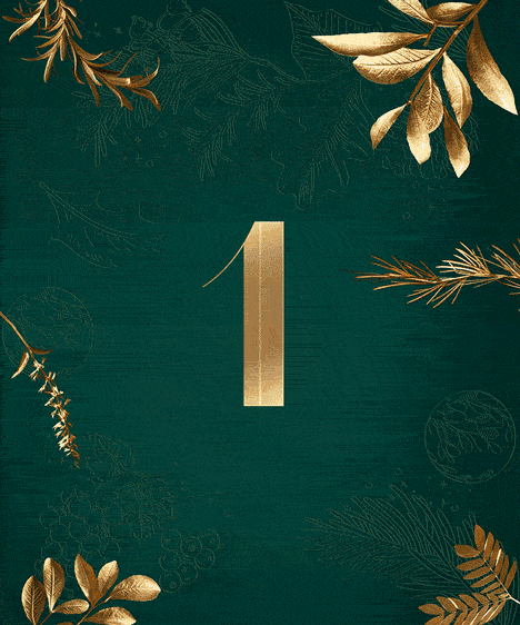 Calendário de Advento Aproveita uma surpresa por dia com desconto!